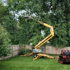 Best Lawn Watering Services  in Bellevue, ID