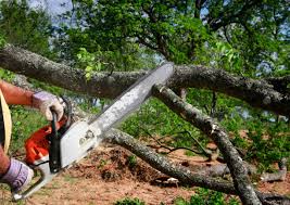 Best Aeration Services  in Bellevue, ID